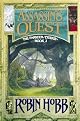 Assassin's Quest