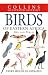 Birds of East Africa (Collins Illustrated Checklist)