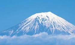 ポスター 富士山/桜 TX-1831
