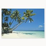 Vinyl Tropical Beach Backdrop Banner