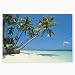 Vinyl Tropical Beach Backdrop Banner