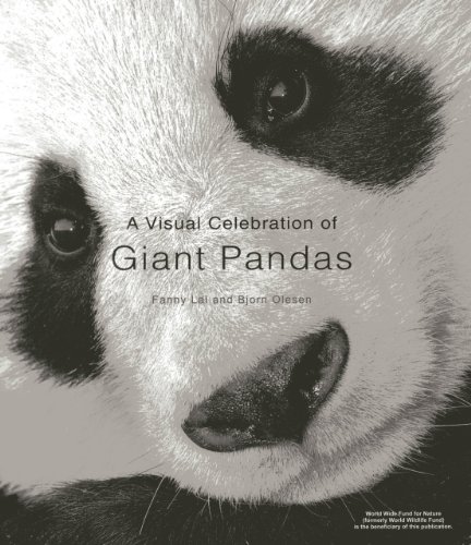 A Visual Celebration of Giant Pandas