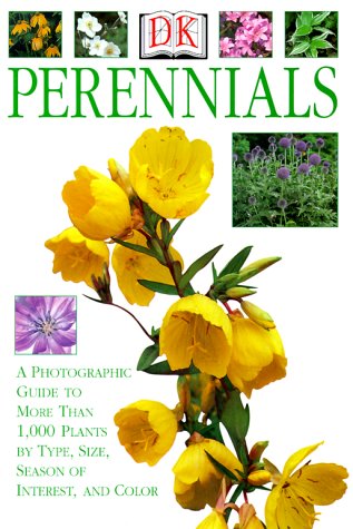 Perennials