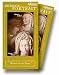 Intimate Portrait: Women of the Bible Box Set [VHS]