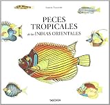 Peces tropicales de las indias orientales