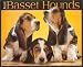Book Just Basset Hounds 2004 Calendar