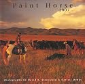 2007 Paint Horse Calendar