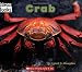 Crab (Welcome Books: Ocean Life)