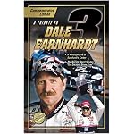A Tribute to Dale Earnhardt Fan Guide (Checkerbee Fan Guide) book cover