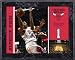 Derrick Rose Chicago Bulls 8x10 Player Plaque
