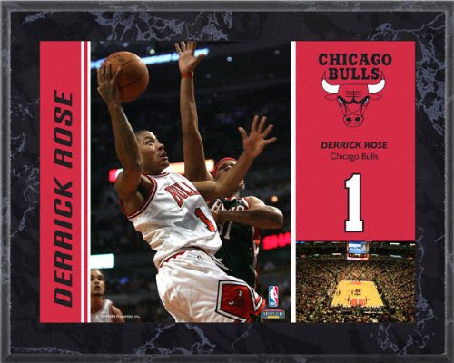 Derrick Rose Chicago Bulls 8x10 Marble Color Player Plaque