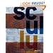 The Imagery of Sean Scully: Constantinople or the Sensual Concealed
