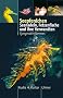 Seepferdchen: Seenadeln, Fetzenfische und ihre Verwandten. Syngnathiformes