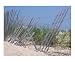 Mangled Fence Places Photographic Poster Print by Joshua G Johnson, 10x8