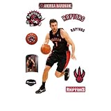 NBA Toronto Raptors Andrea Bargnani Wall Graphic