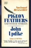 Pigeon Feathers