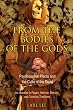 From The Bodies Of The Gods