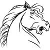 Visit This External Website