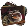 Cat Tales - Box Set of 12 Assorted Greeting Cards and Patterned Envelopes