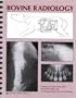 Bovine Radiology