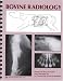Bovine Radiology