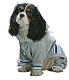 gray Pucci Warm Up Suit Gray - Large