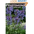 Penstemons