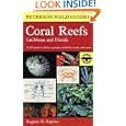A Field Guide to Coral Reefs: Caribbean and Florida (Peterson Field Guide) by Eugene H. Kaplan, Roger Tory Peterson, and Susan L. Kaplan