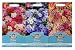 Mr Fothergill'S Seeds Phlox Collection