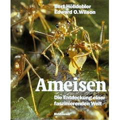 Ameisen. Die Entdeckung einer faszinierenden Welt