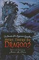 Here, There Be Dragons (Chronicles of the Imaginarium Geographica, the)