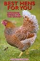 Best Hens for You: Choosing Breeds for the Garden
