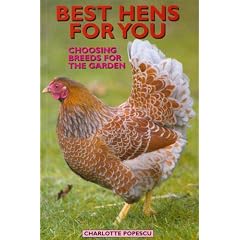 Best Hens for You: Choosing Breeds for the Garden
