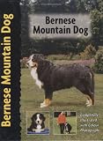 Bernese Mountain Dog (Petlove)