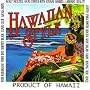 Hawaiian Style Music