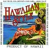 Hawaiian Style Music