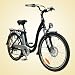 Euro Electric Bicycle w/ 24V Lithium-ion Battery (26