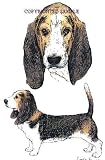 Basset Hound - Double Image by Cindy Farmer