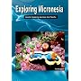 Exploring Micronesia-Island Hopping Across the Pacific