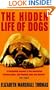The Hidden Life of Dogs