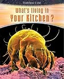 What's living in your kitchen?