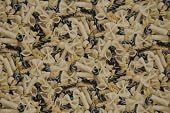 Pasta, Fabric by Prestigious