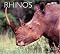 Rhinos (Worldlife Library Series)
