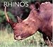 Search : Rhinos (Worldlife Library Series)
