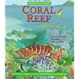 Coral Reef (Watch It Grow) by  Kate Scarborough and Michael Woods