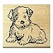 P26 Puppy Rubber Stamp
