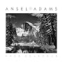 Ansel Adams 2008 Engagement Calendar