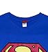 Ladies Blue Superman Logo T Shirt Blue Small