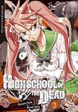 Produkt-Bild: Highschool of the Dead, Band 3