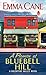 A Promise at Bluebell Hill: A Valentine Valley Novel (Valentine Valley, 4)